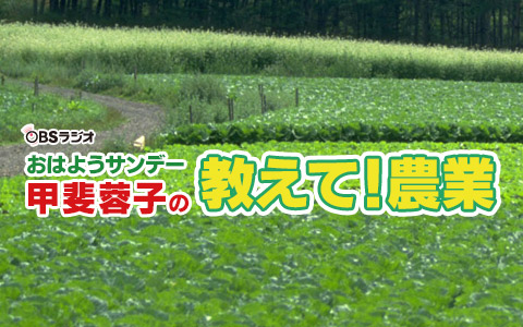 おはようサンデー　甲斐蓉子の教えて！農業