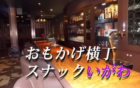 おもかげ横丁 スナックいがわ