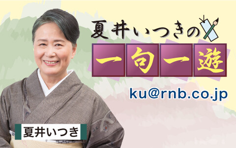 夏井いつきの一句一遊