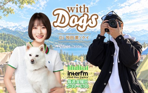 with Dogs