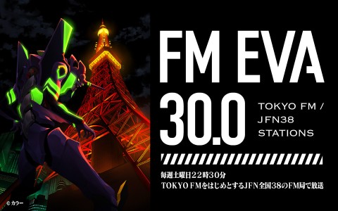 FM EVA 30．0