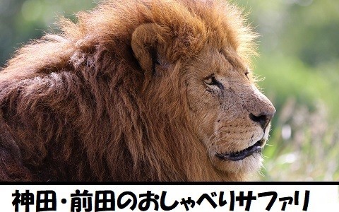 神田前田のおしゃべりサファリ