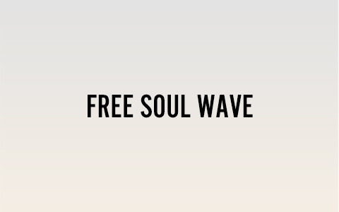 FREE SOUL WAVE