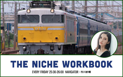 THE NICHE WORKBOOK