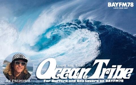 OCEAN TRIBE 